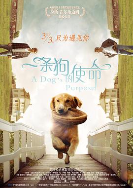 免费黄色小说视频