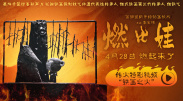 午夜精品久久久久久
