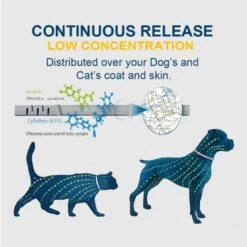 Cat And Dog Flea Collar With Tick Control 11 Cat And Dog Flea Collar With Tick Control -Children Furniture Store 67963021 5